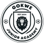Gokwe Junior Academy